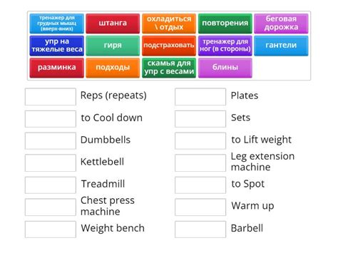 Exercise Words 的图像结果