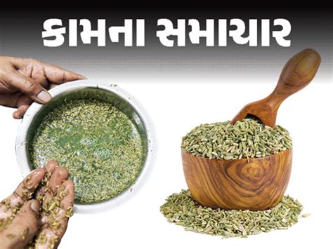 Fennel Seeds Adulteration; Health Risk