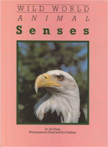 Buy Animal Senses (Wild World) Book Online at Low Prices in India ...