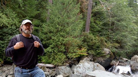 Fungi Perfecti | Home