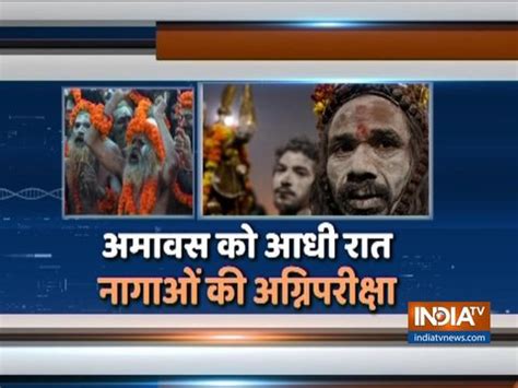 Kumbh Mela: The intriguing story of Naga Sadhus and Amawasya - India TV ...