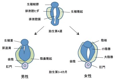 Image result for Virtual Science Lab