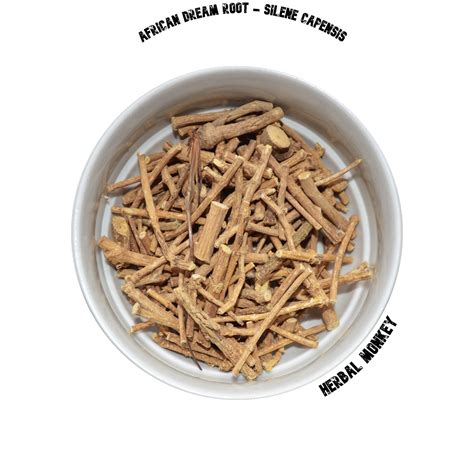 African Dream Root - Silene Capensis | Whole & Crushed for Rituals