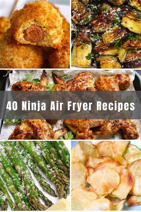 Ninja air fryer directions online