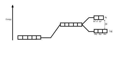 Draw the figure to show the splitting of ‘d’ orbitals in octahedral ...