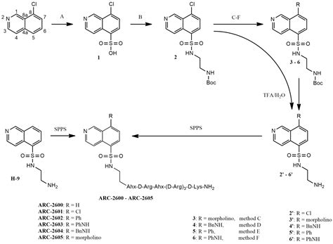 Selective Inhibitor of Protein Kinase PKN3 Generated by Conjugation of ...