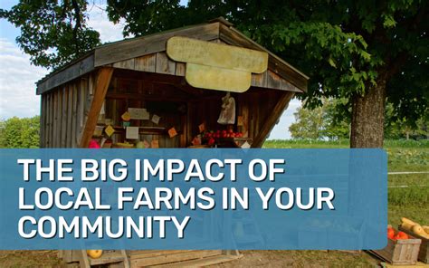 Local Farms 的图像结果