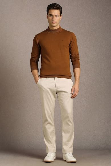 Buy Men Brown Solid Turtle Neck Full Sleeves Sweater Online - 40091095 ...