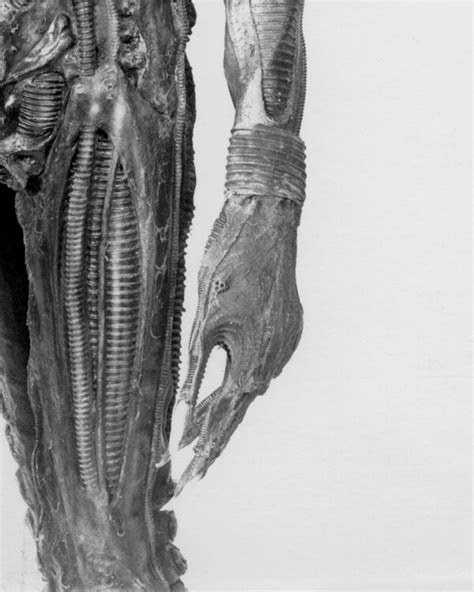 Alien Actor 的图像结果