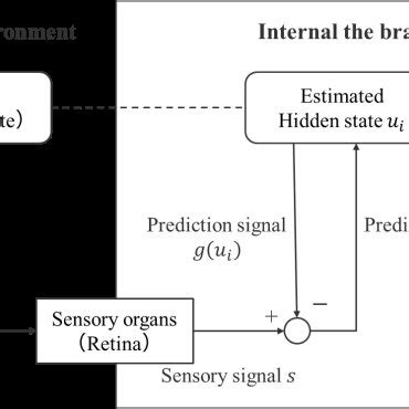 Image result for Process of Visual Perception