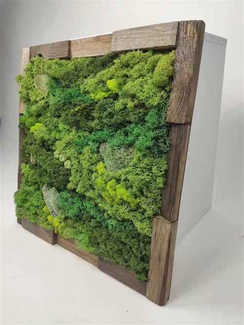 How To Make Moss Wall Art