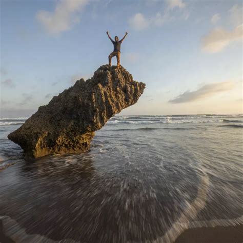 Objectif Canon 的图像结果