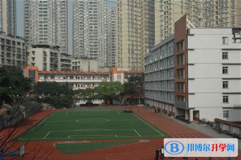 重庆市沙坪坝实验中学校2024年学费、收费多少