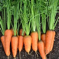 Kanthalloor tourism - Best Kanthalloor tourism