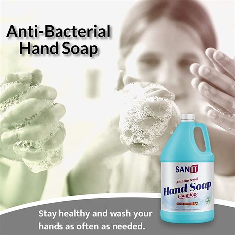 Sanitأ‚ Antibacterial Foaming Hand Soap Refill with Aloe Vera - All ...