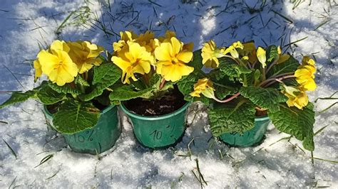 Image result for Bioleaching Process