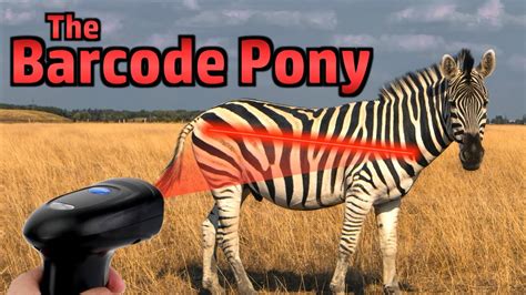 Image result for Using a Zebra Barcode Scanner