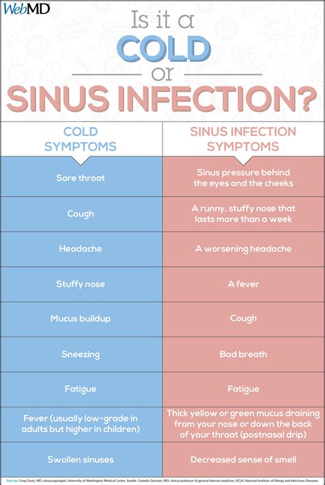 When a Cold Becomes a Sinus Infection | Sinus infection, Sinus ...