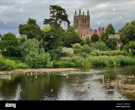 A view of the famous Hereford Cathedral from the banks of the River Wye ...
