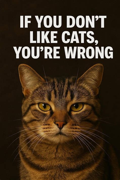 Schrodingers Cat presents: eXtreme Theatre Games, Le Chat Noir, Augusta ...