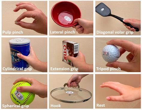 sEMG-Based Robust Recognition of Grasping Postures with a Machine ...