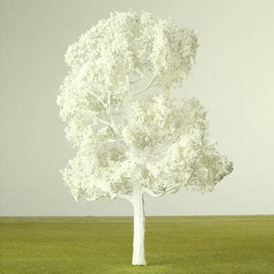 Image result for Building Model Trees