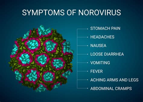 Norovirus Does It Cause Fever