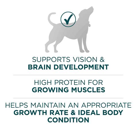 Purina ONE Large Breed Puppy Formula Dry Dog Food - Pet Supplies online ...