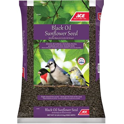 Ace Songbird Black Oil Sunflower Seed Wild Bird Food - Pet Supplies ...