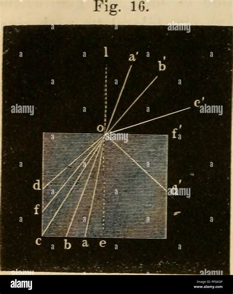 This work on microscopy covers the theory, use, and history of microscopes, highlighting their ...