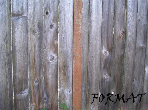 Image result for Design Format