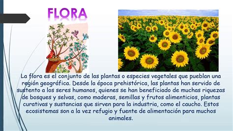 FOREVER GISELL: Clases de Flora
