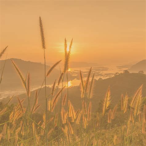 Simple Church 的图像结果