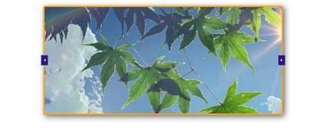 Image result for Image Slider Using JavaScript