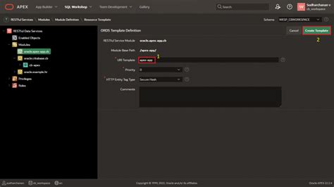 Image result for How to Apply API in Apex