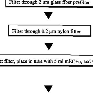 Image result for Beef Processing Flow Chart