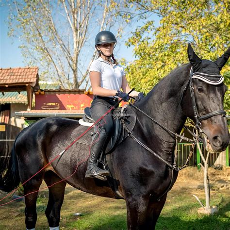 Horshi Customized Lunge Whip With Rubber Handle Can Detachable Into Two ...