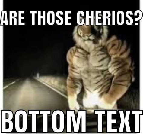 Bottom Text Meme 的图像结果