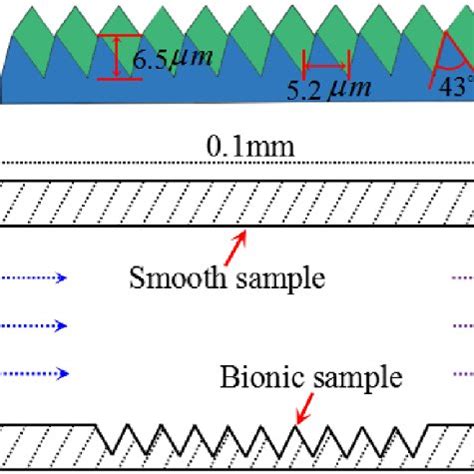 Bionic Size Comparison 的图像结果