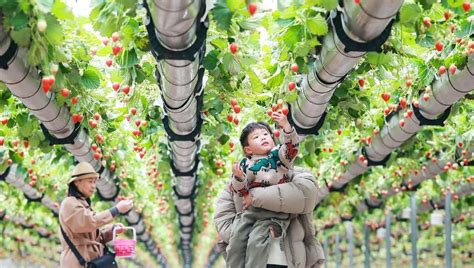 High Quality Development 的图像结果