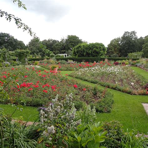 PARK ROSENHÖHE (2025) All You Need to Know BEFORE You Go (with Photos ...