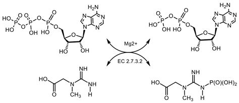 Phosphorus Compounds of Natural Origin: Prebiotic, Stereochemistry ...