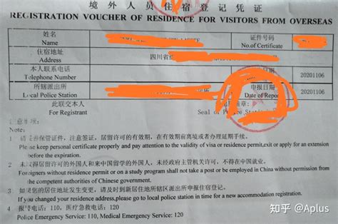 中国团聚签证，中国何时恢复外国人入境？