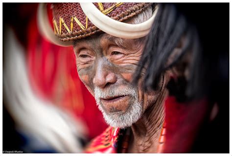 Image result for Human Resource Functions Model