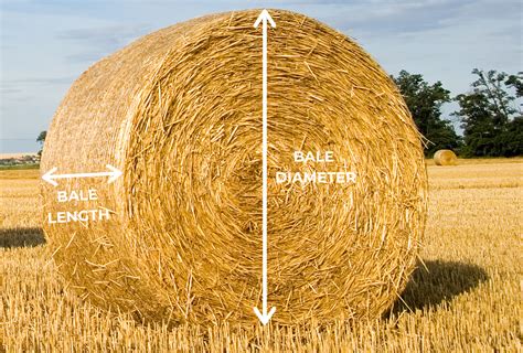Rolled Hay Bale Dimensions U.S. Cotton Bale Dimensions