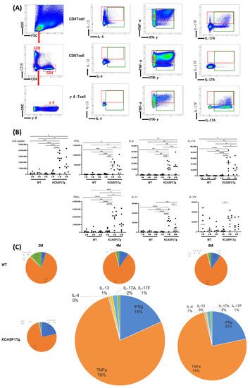 The Interplay of Type 1, Type 2, and Type 3 Lymphocytes and Cytokines ...
