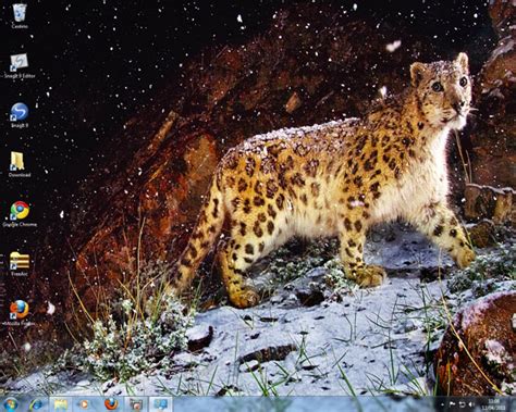 Image result for Mac OS Snow Leopard