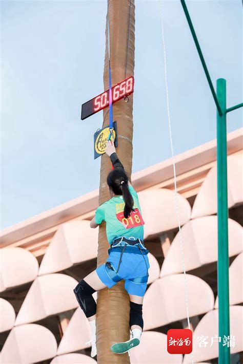 这场爬椰子树比赛在三亚落幕 海南代表队包揽男女个人赛一等奖-新闻中心-南海网
