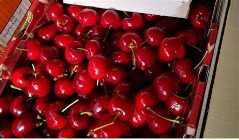 (FOTO) ŠOK NA PIJACI NA NOVOM BEOGRADU! U ponudi imaju TREŠNJE, a neće ...