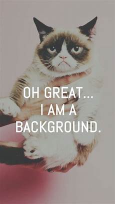 Lock Screen Iphone 6 Cat Wallpaper by Best Lockscreens Iphone Wallpaper Cat Cat Lock Screen Iphone 6 Cat Wallpaper
